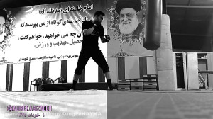 ترکیب مبارزات نیمه آزاد ، علی...