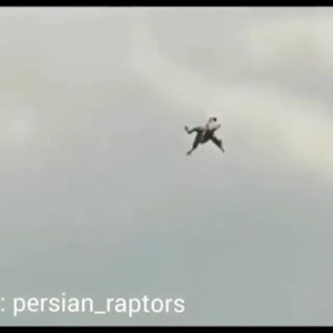 شکار آهو توسط عقاب
