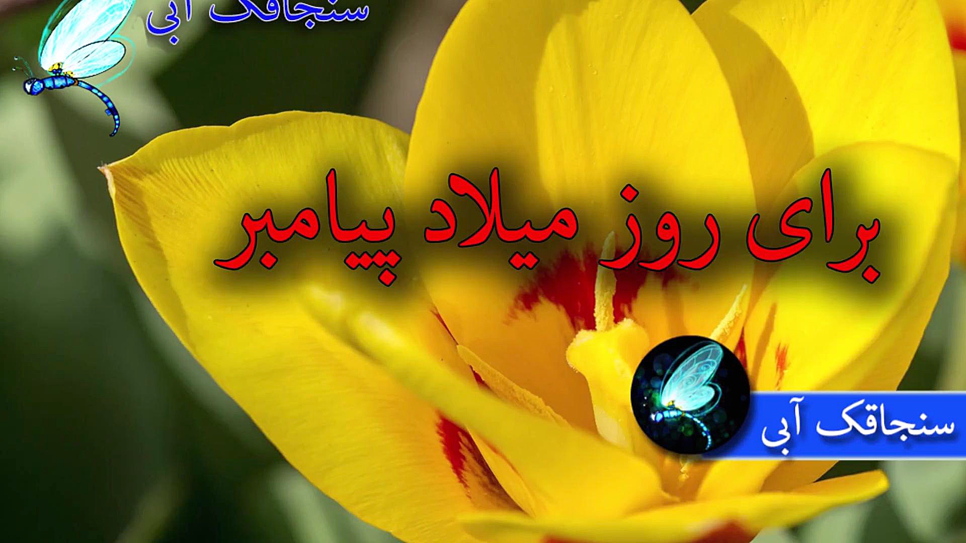 کلیپ تبریک ولادت حضرت محمد  فر...