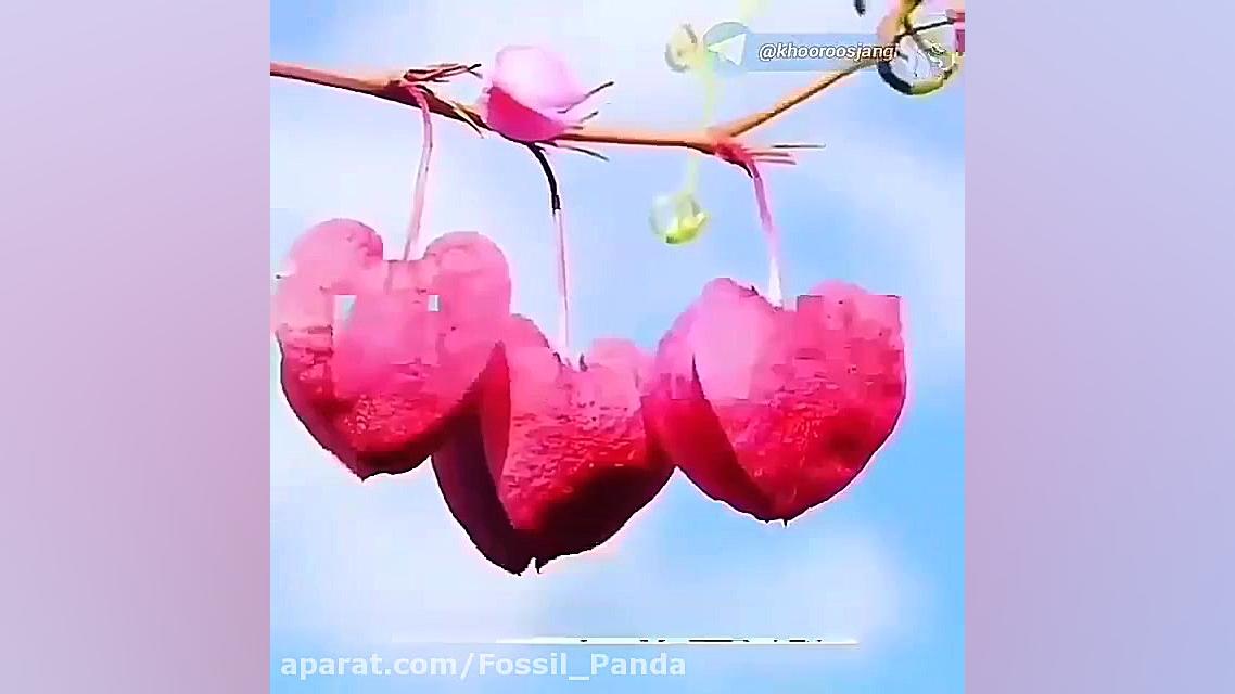 کلیپ شاد برای ماه ربیع الاول