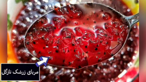 طرز تهیه مربا زرشک نازگل (فوری...