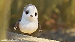 اعتماد به نفس ،انمیشن piper