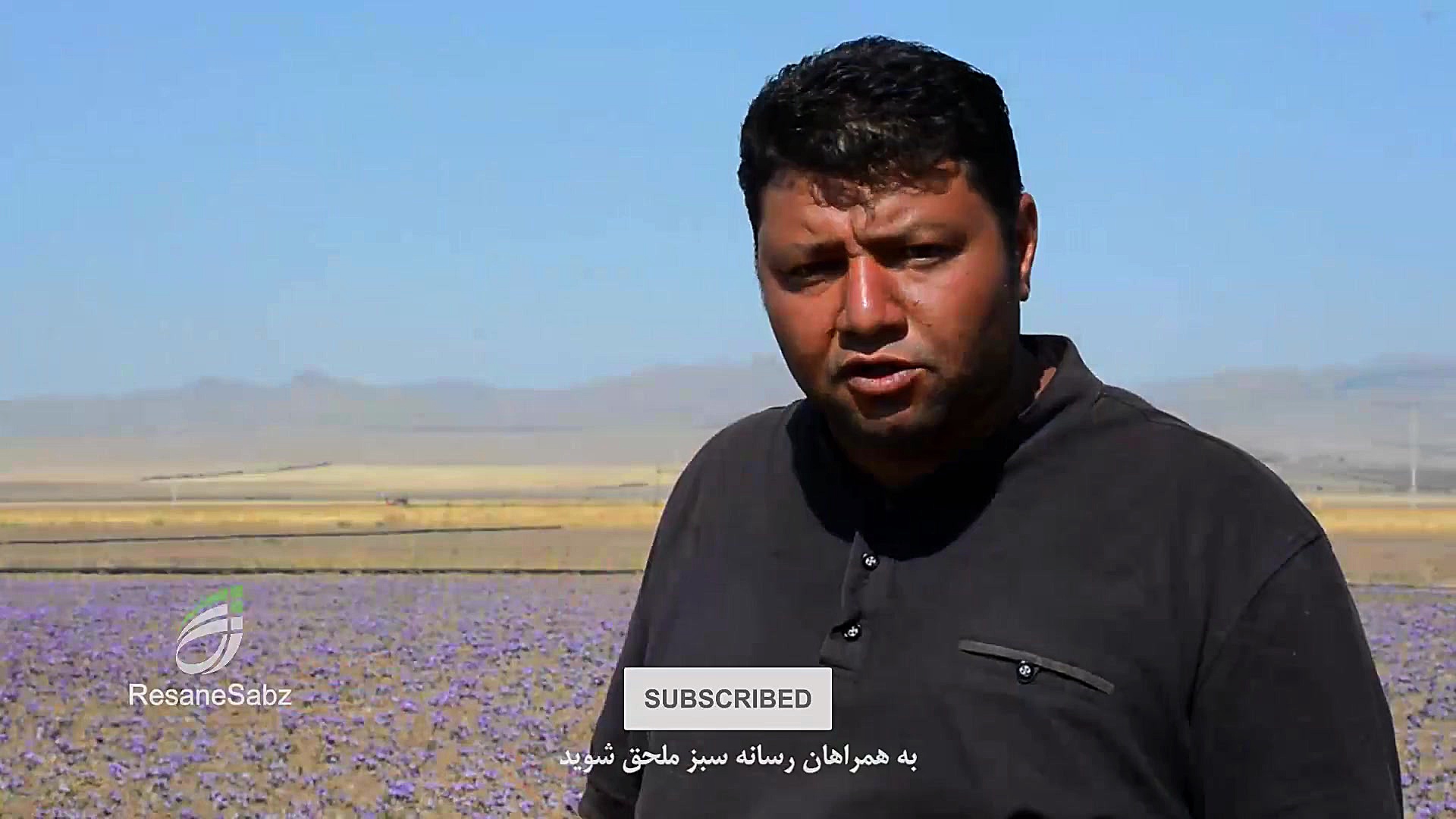 بهداشت زعفران در شرایط کرونا...