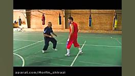 حرکات هماهنگی برای رقص پا در ب...