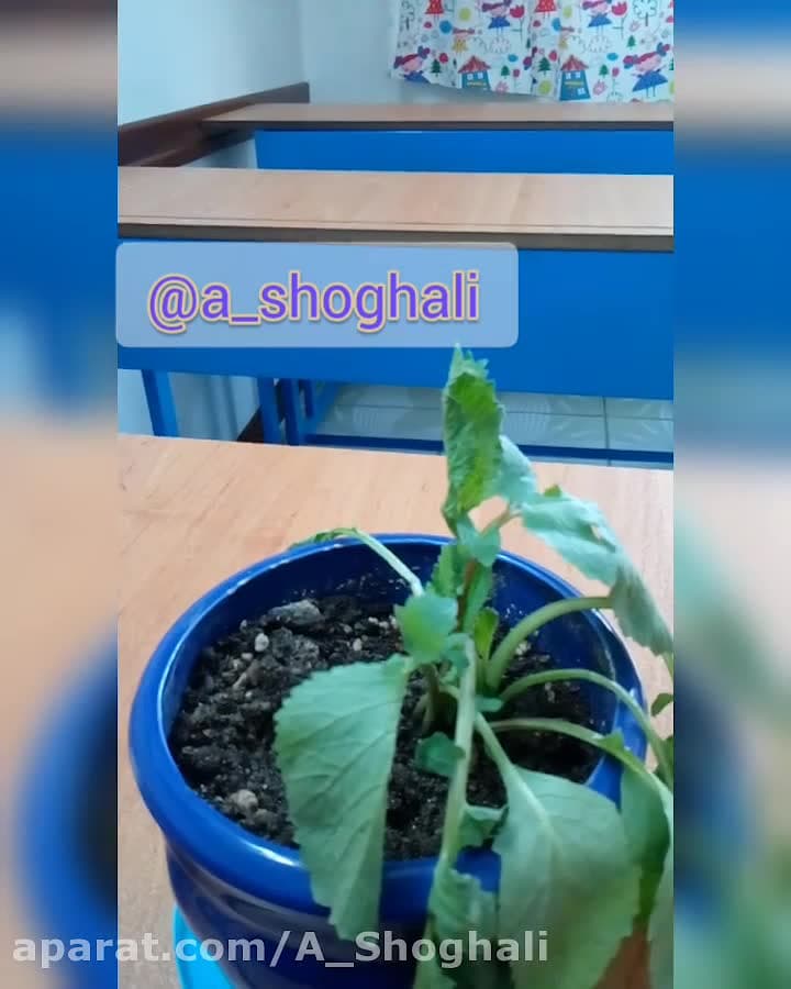 تدریس علوم اول دبستان  آموزش ق...