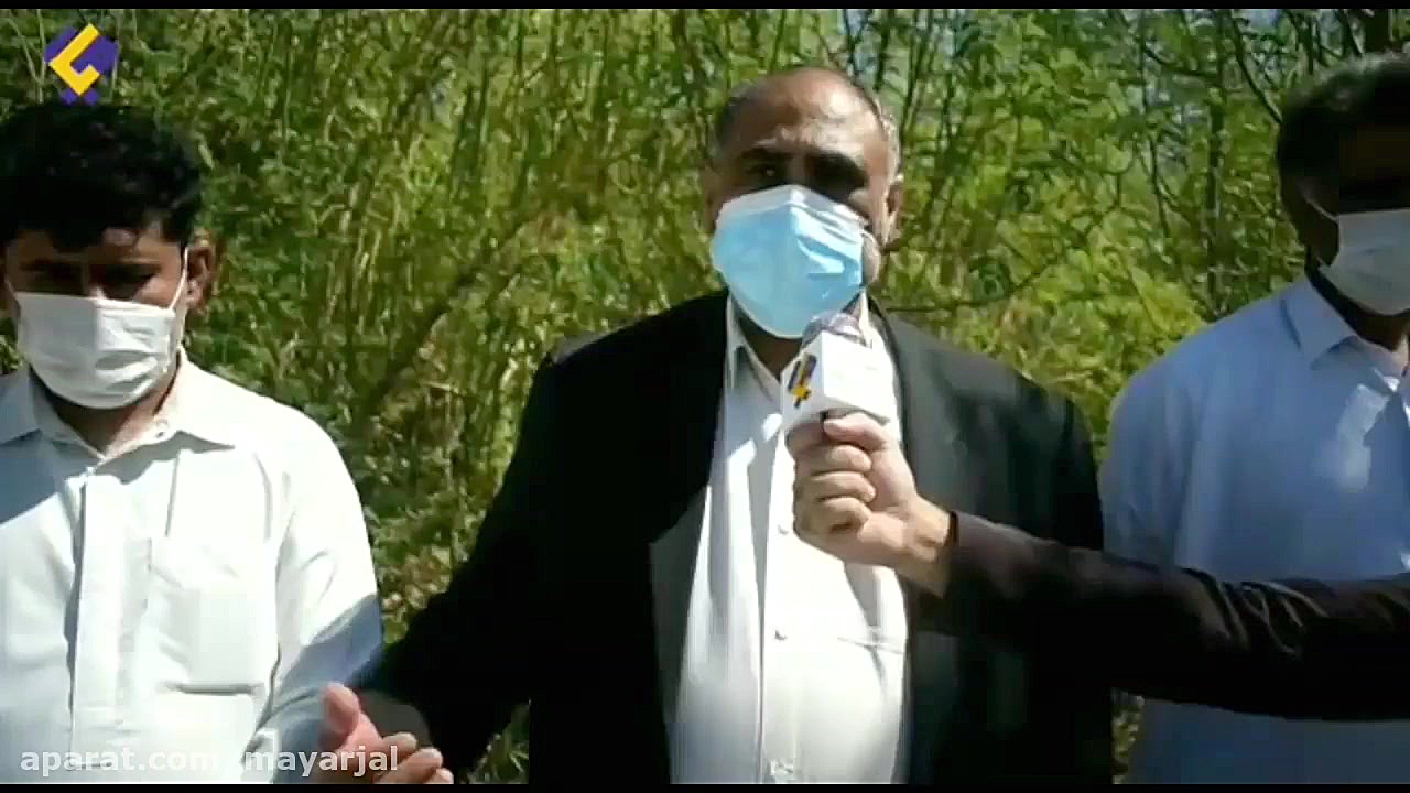 کاشت درخت مورینگا برای نخستین...