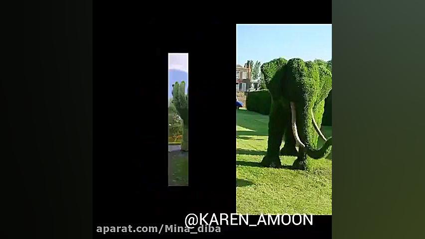 کلیپ طبیعت با آهنگ شاد