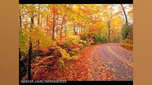 آهنگ محلی بختیاری دونه انار بی...