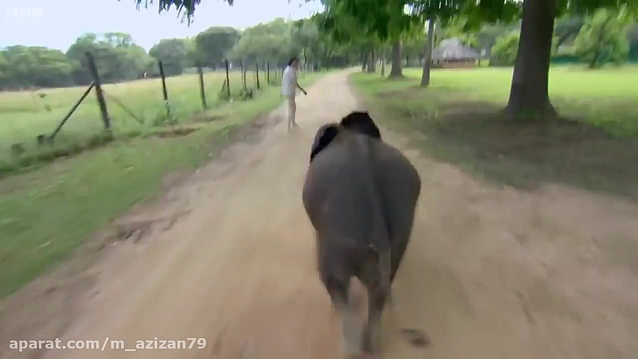 بهترین و شگفت انگیز ترین صحنه...