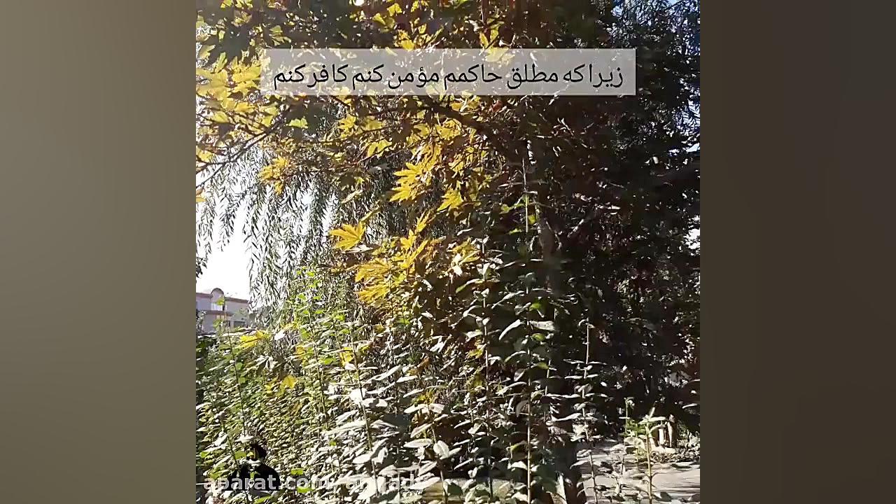 حامد امجدیان، لاهوت، محبت خدا...