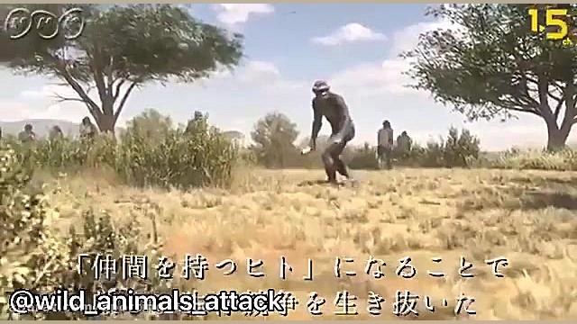 مستند زیباازانسانهای اولیه حمل...