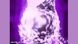 دختر کفشدوزک و گربه ی سیاه