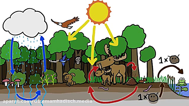 پایه ششم درس اجتماعی مبحث عوام...