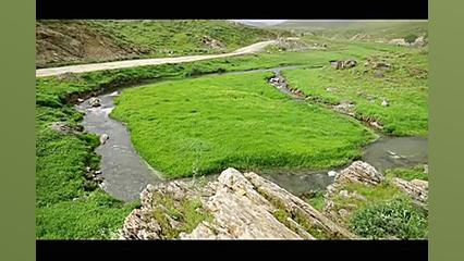 دشت وزینه سردشت | جاذبه گردشگر...