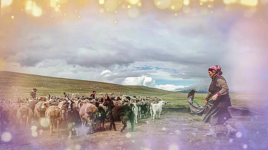 آهنگ شاد لری مجلسی خرم آبادی