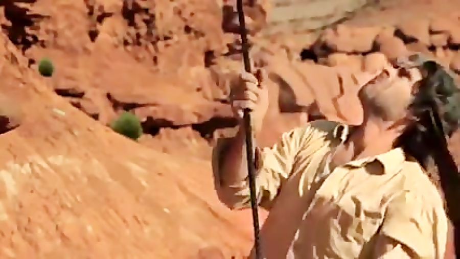 میگ میگ و کایوت