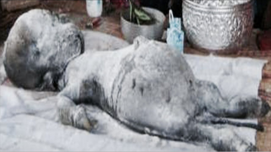 15 موجود عجیب و غریب ناشناخته...