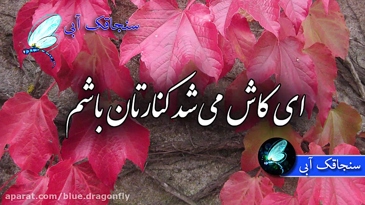 کلیپ تسلیت همدردی پیام تسلیت ع...