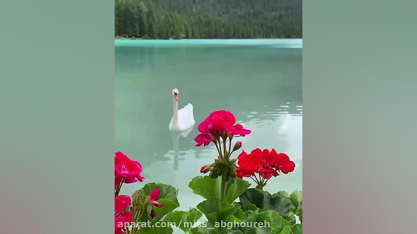 اهنگ زیبا و شاد  آهنگ شنیدنی