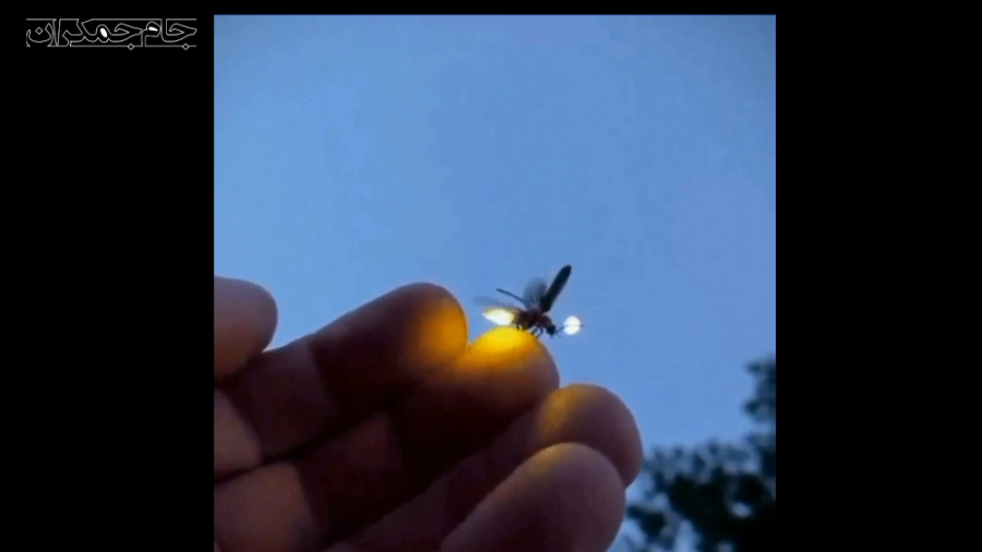 کلیپ کوتاه عاشقانه درباره خدا...