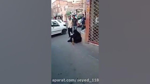 کلیپ عجیب  مچ گیری از یک گدا o...