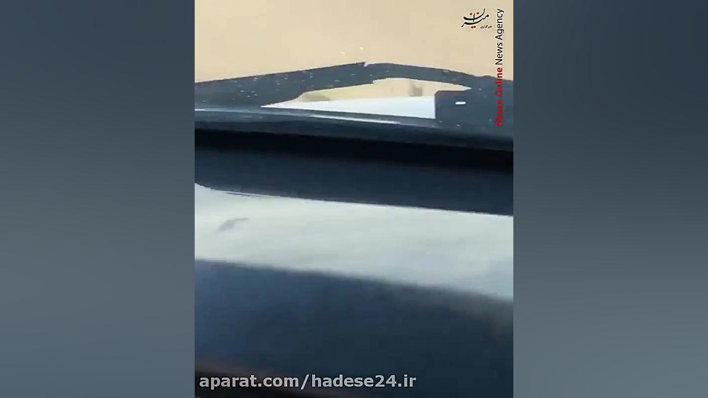 تعقیب و گریر مرگبار یک کل توسط...