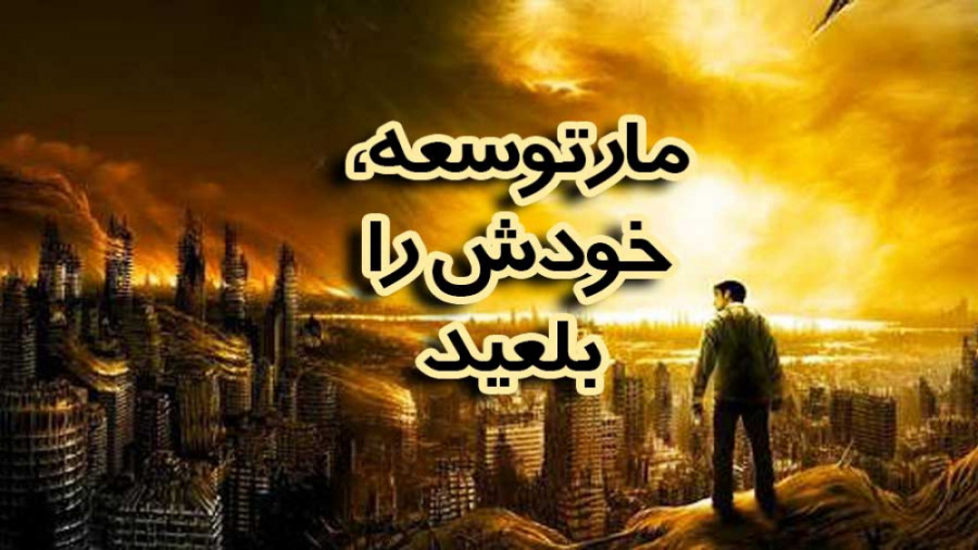 مسیریابی معاد