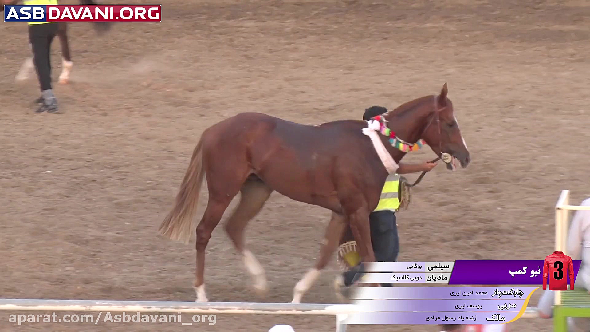 قهرمانی نیو کمپ  دور چهارم از...