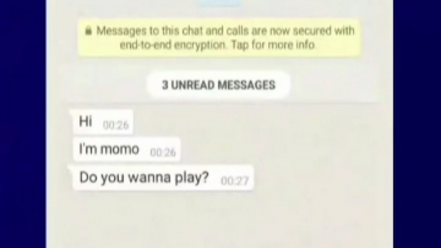 چت یک مرد ایرانی با مومو