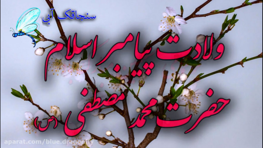 کلیپ تبریک ولادت حضرت محمد  تب...