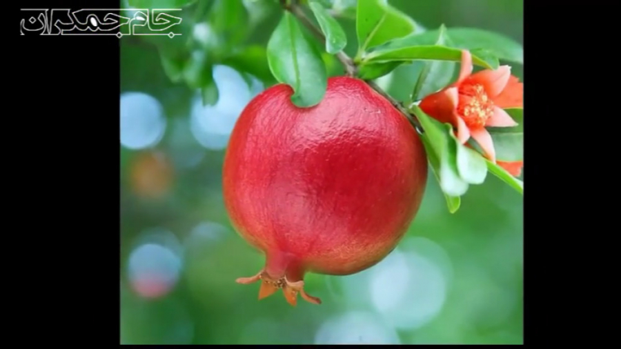 کلیپ عاشقانه درباره خدا