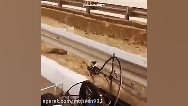 رنگ آمیزی خودکار جدول ها !