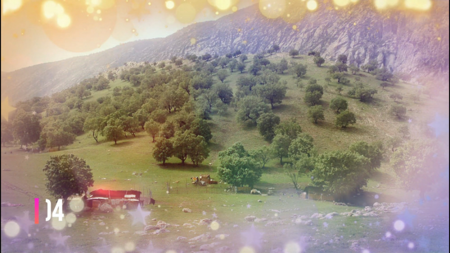 آهنگ لری شاد قشقایی جدید