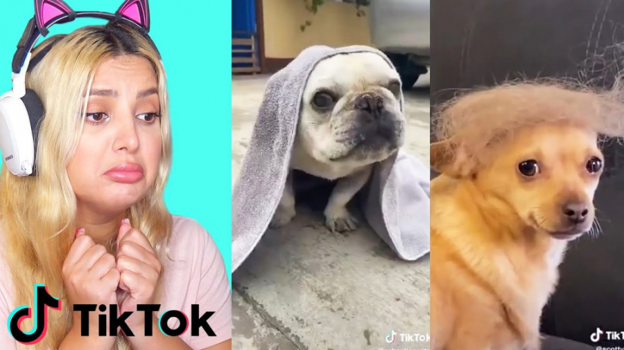 عاشقشوووونم | تاکسیک گرل 139