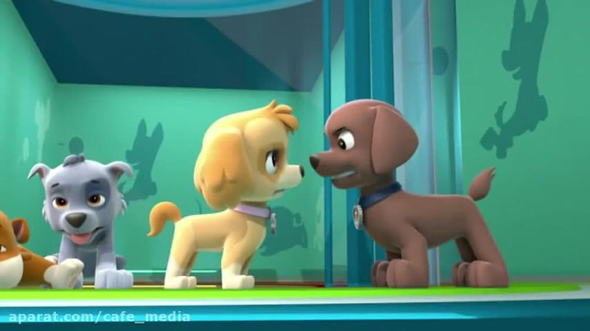 انیمیشن سگهای نگهبان  سگهای نگ...