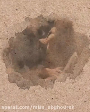 کلیپ تبریک میلاد حضرت محمد ص |...