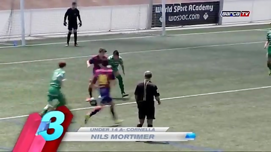 بهترین گل های لاماسیا (آکادمی...