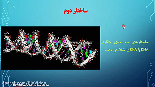 ویدئو شماره 1: زیست شناسی مولک...