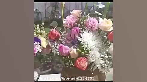 آغاز هفته وحدت