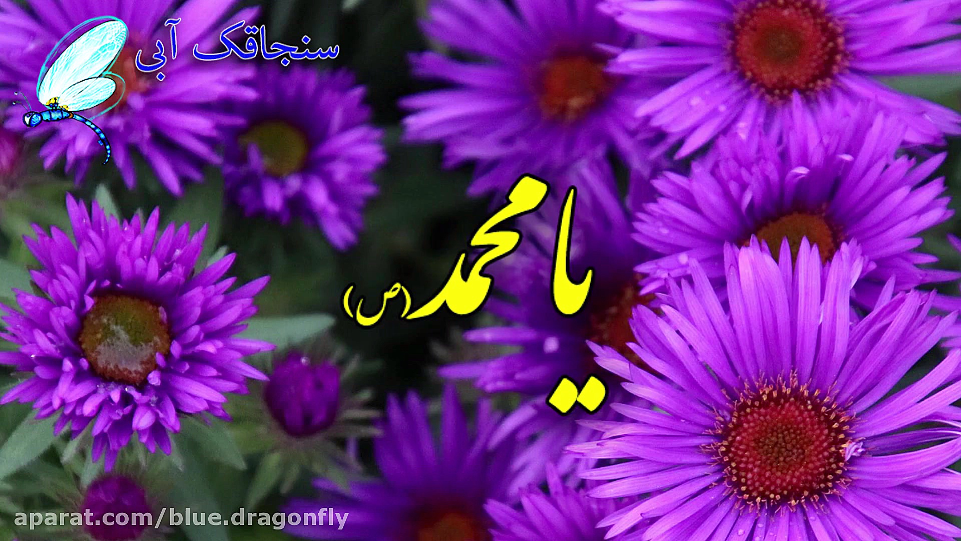 کلیپ تبریک ولادت حضرت محمد  تب...