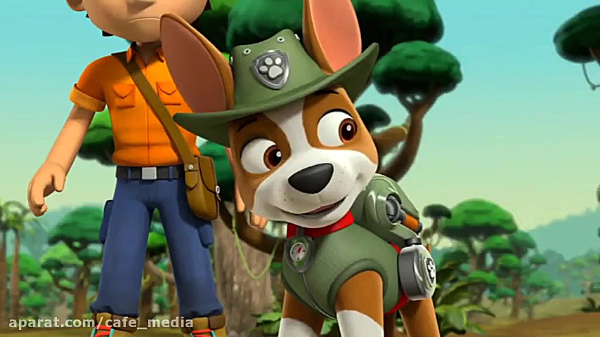 سگهای نگهبان جدید  سگهای نگهبا...