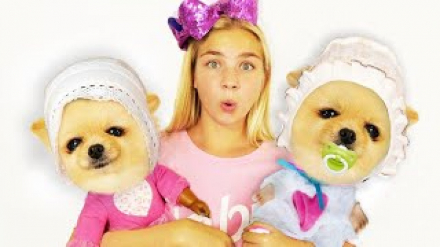 دوستان استیسی و دیانا &raquo;&...