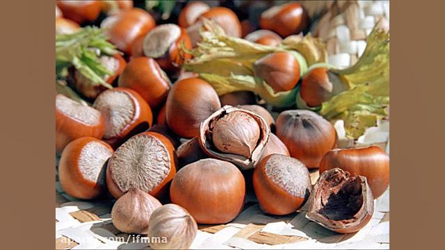 محصول تولیدی شرکت خشکبار صنعت...