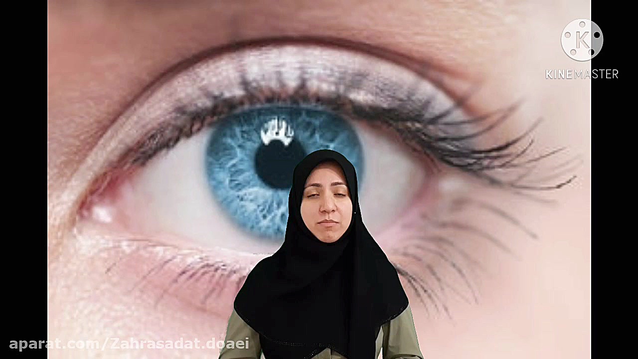 مدرسه خرگوش ها.درس چهارم