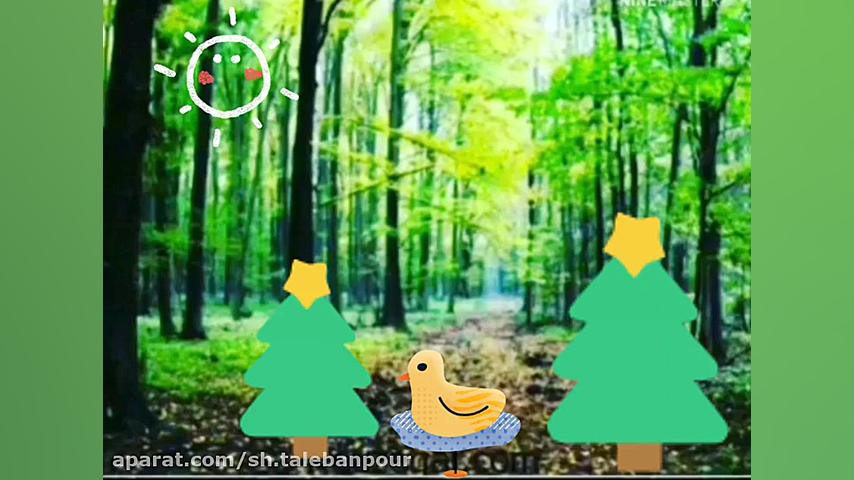 مدرسه خرگوش ها