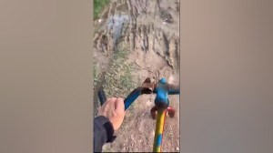 نحوه صحیح لباس شستن...