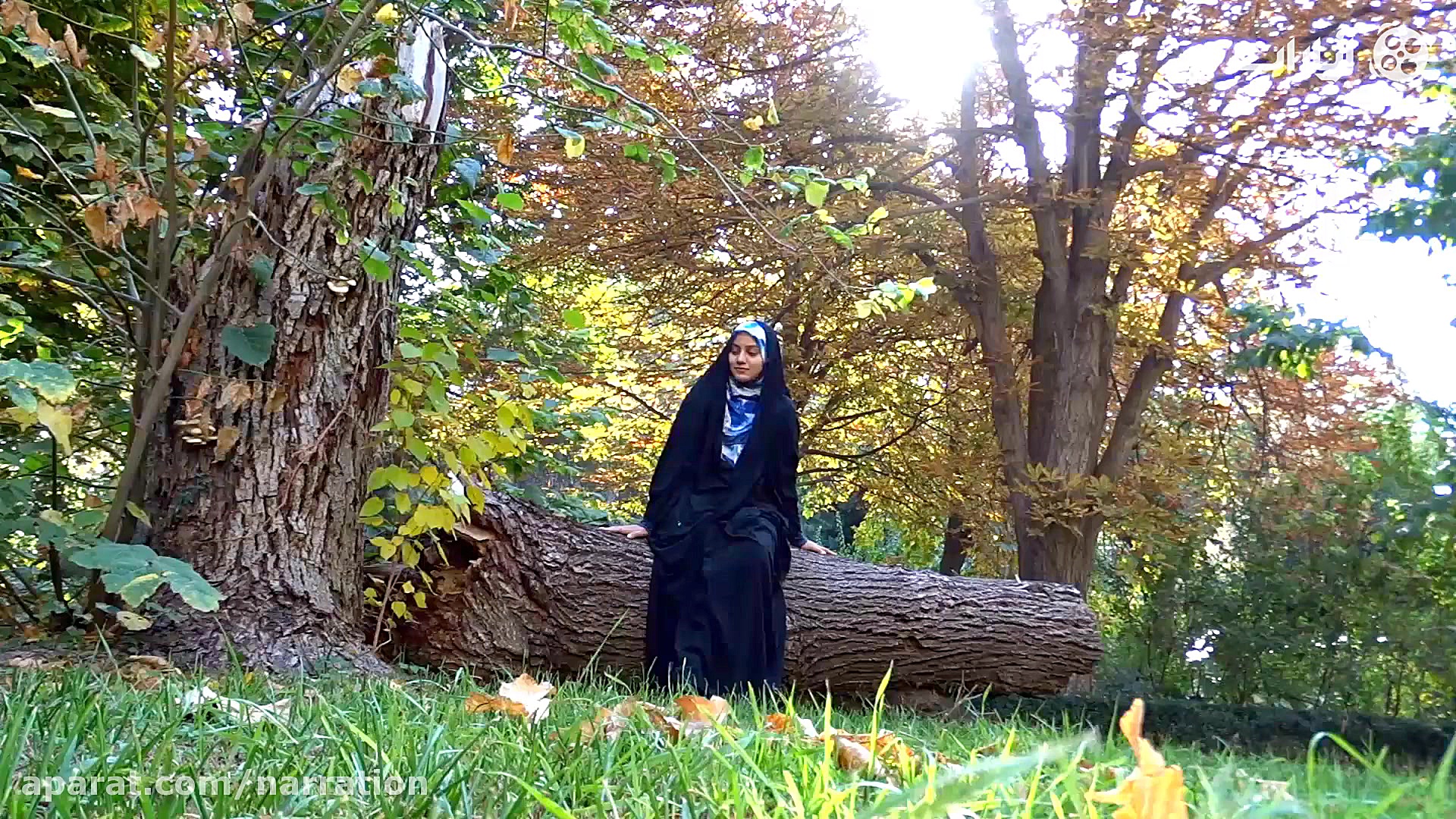 ای پادشه خوبان داد از غم تنهای...