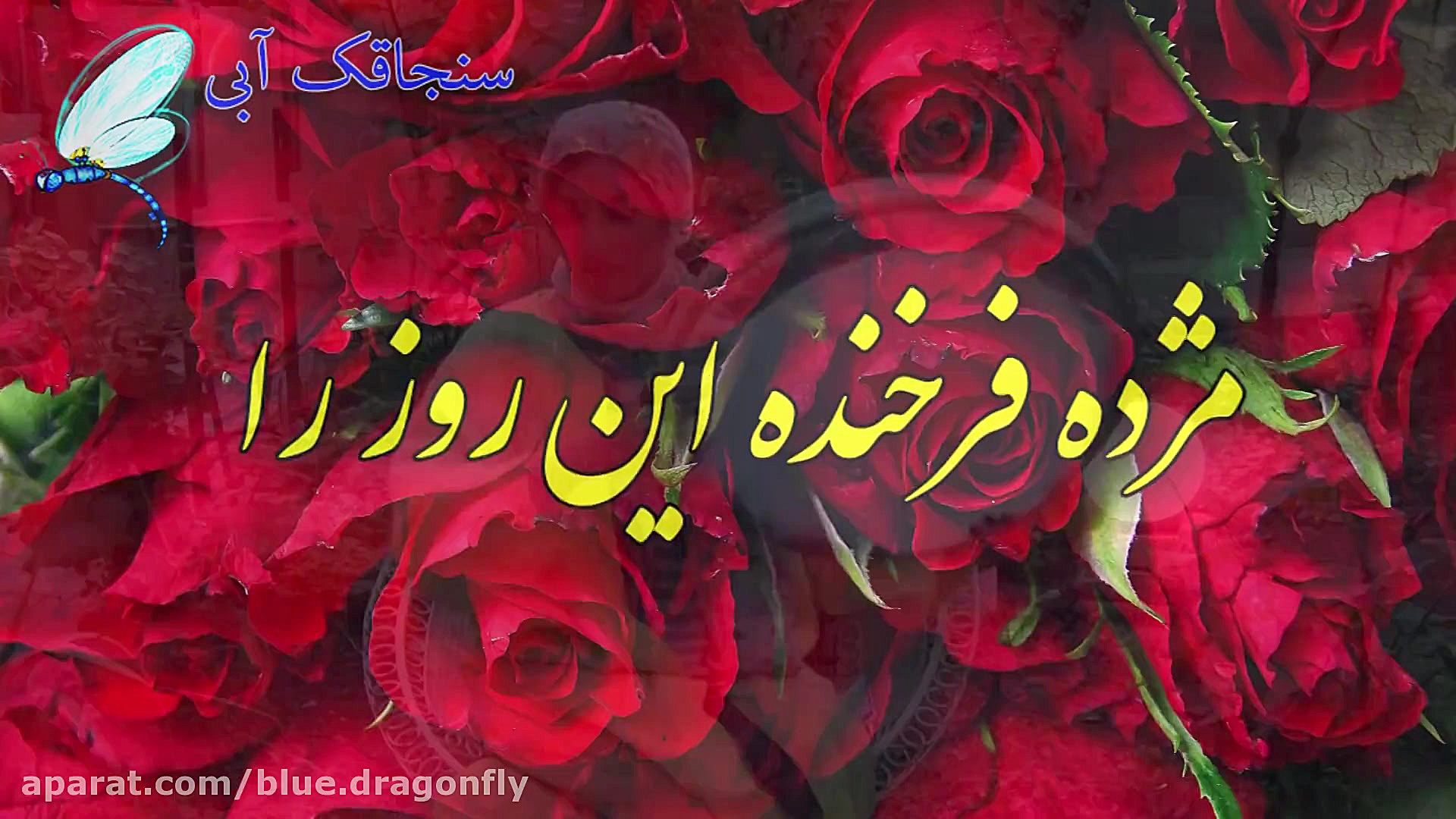 دف نوازی میلاد پیامبر اسلام  ک...