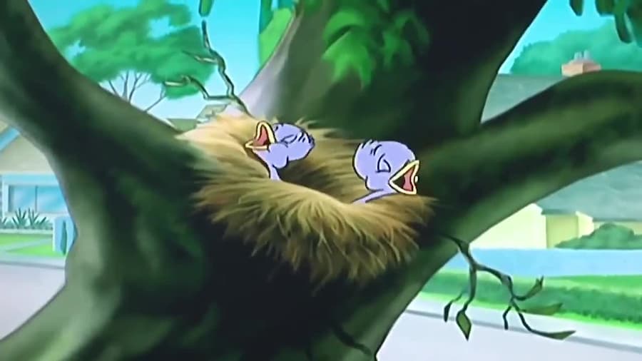 انیمیشن تام وجری | این قسمت حل...