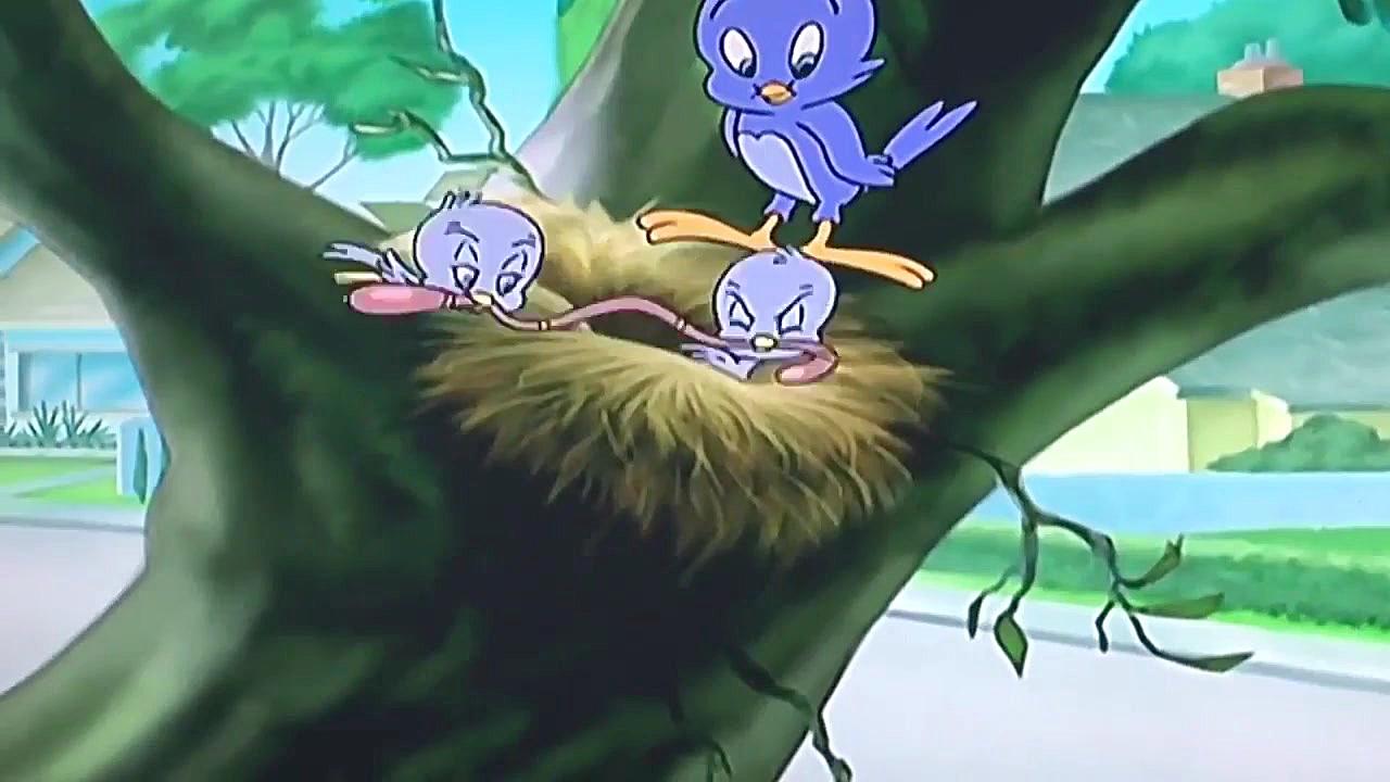 انیمیشن تام وجری | این قسمت حل...